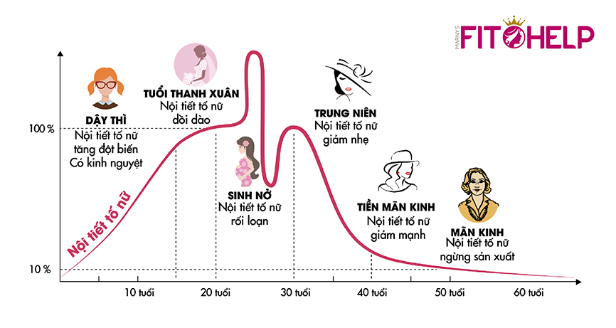 FITOHELP – VIÊN UỐNG CÂN BẰNG NỘI TIẾT TỐ NỮ