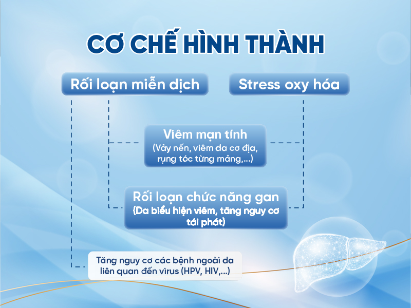 Cơ chế h&igrave;nh th&agrave;nh rối loạn miễn dịch v&agrave; stress oxy h&oacute;a